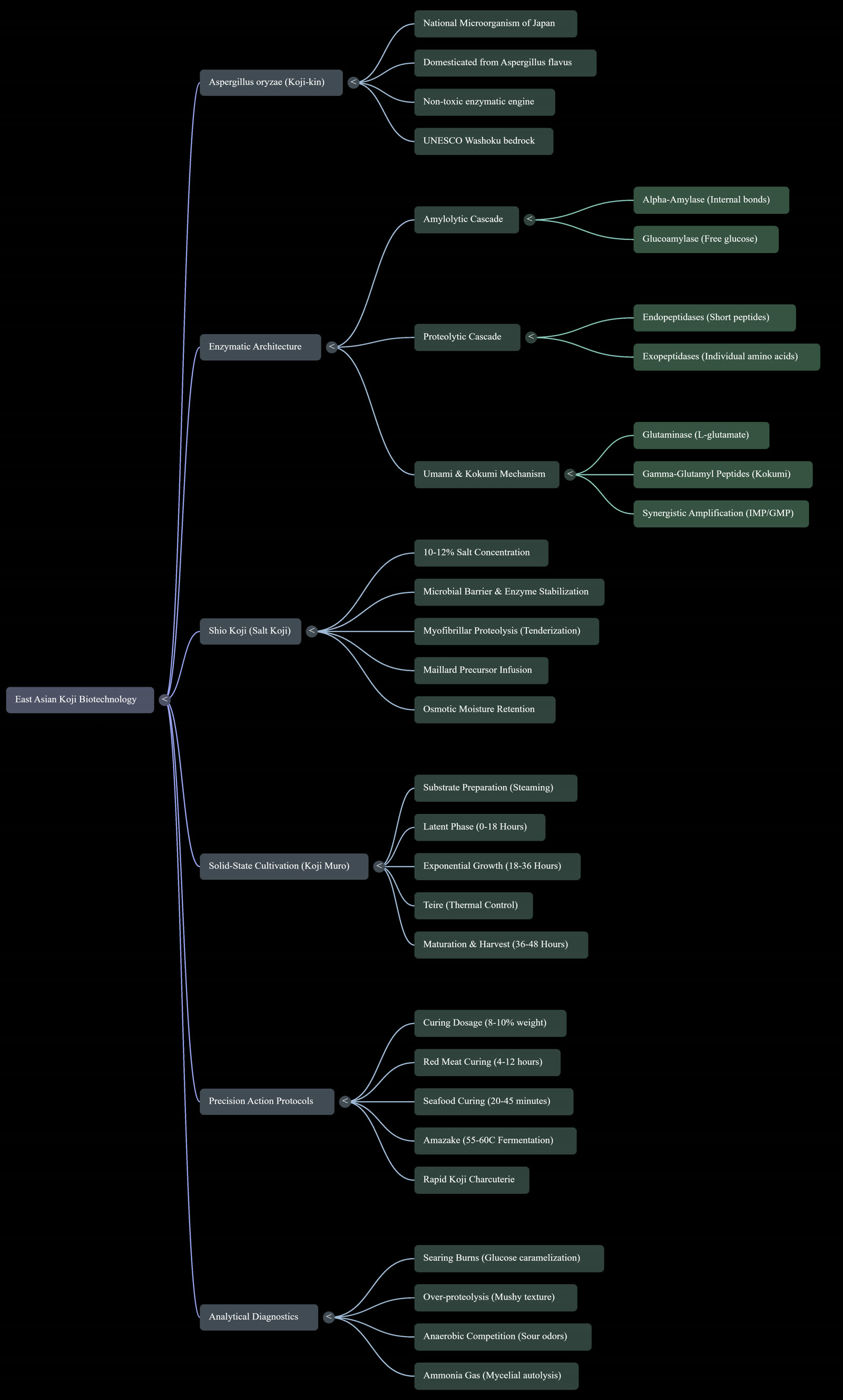 Koji biotechnology mind map